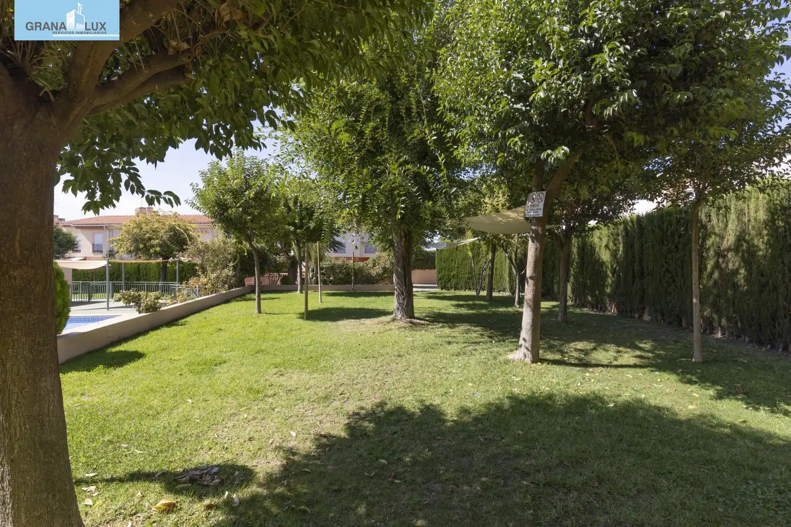 Mini appartamento con terrazza in vendita a 1 Avenida Casa Grande #1, imagen 42