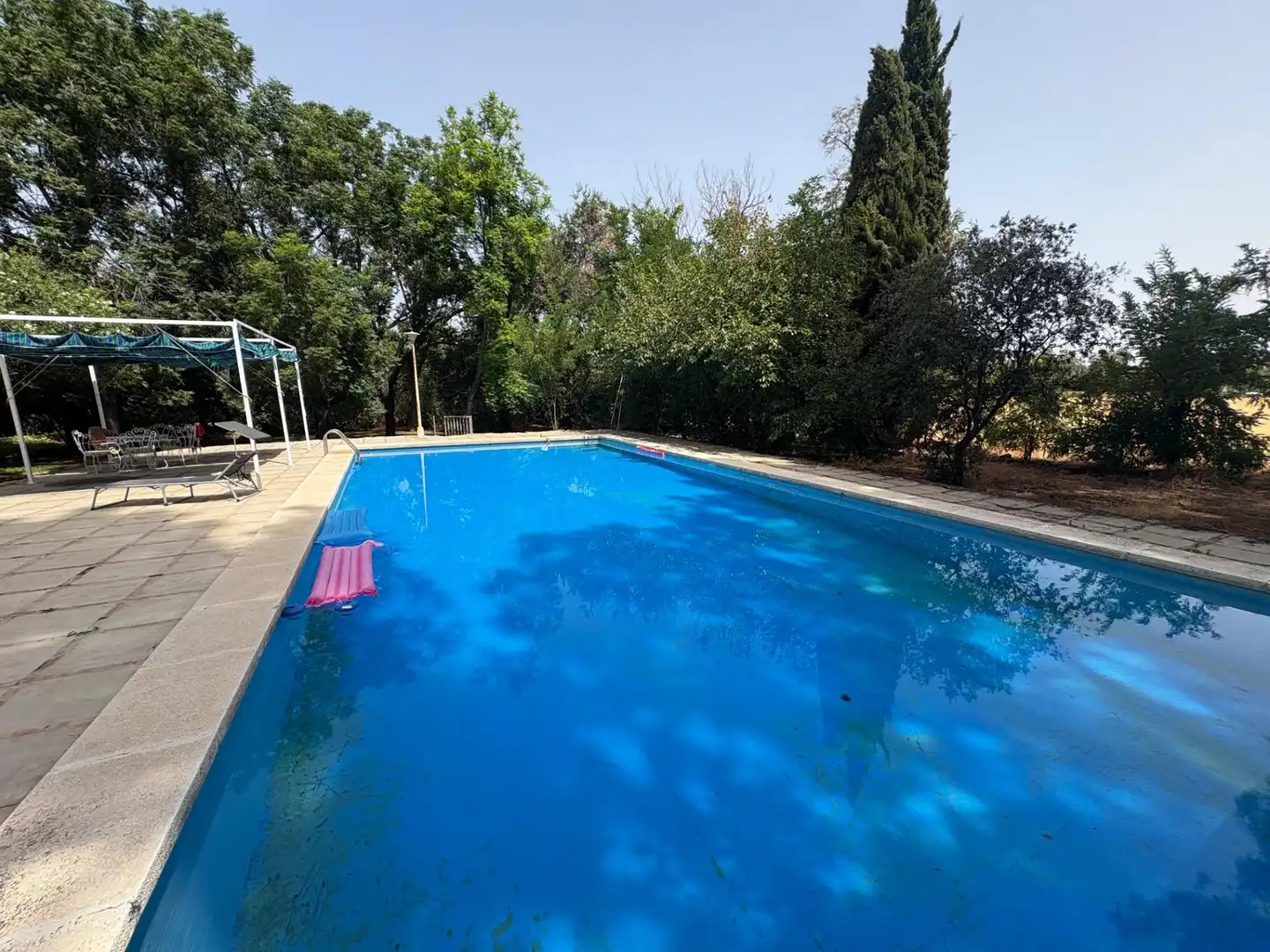 Piscina de Casa o xalet en venda en Córdoba amb Aire condicionat, Jardí privat i Piscina