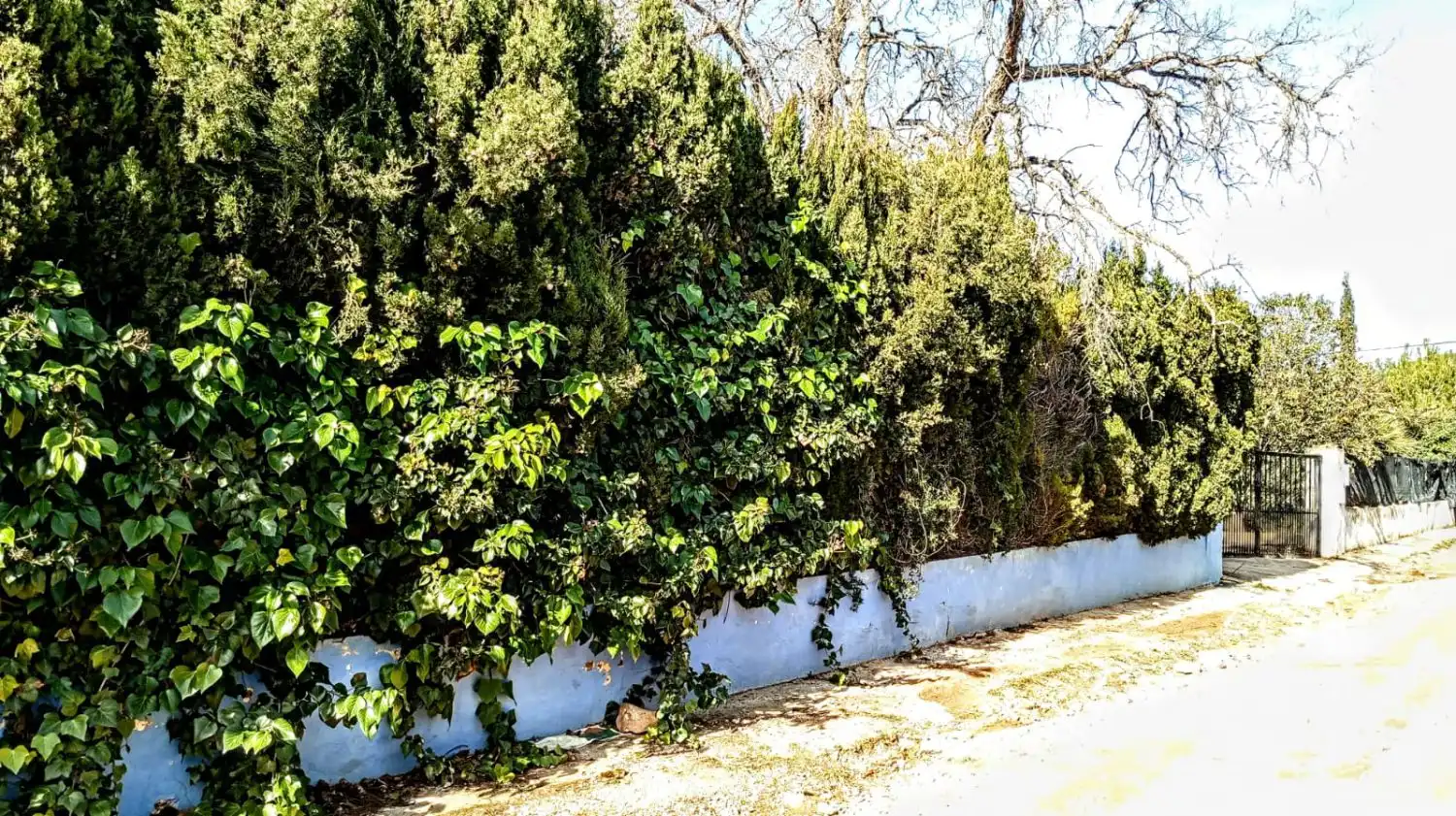 Exterior view of Houses for sale in Vilafamés  with Air Conditioner, Private garden and Terrace