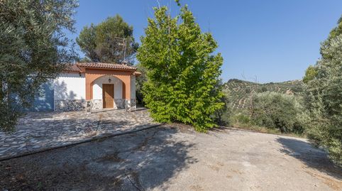 FINCA DE OLIVOS EN MONTEFRÍO