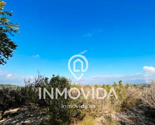 Land for sale in Barxeta