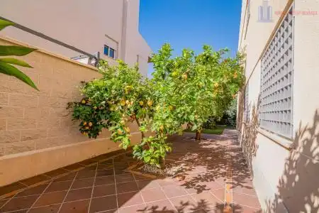 Terraza de Casa o chalet en venta en Villa de Otura