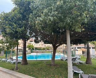 Swimming pool of Planta baja to rent in Vélez-Málaga  with Air Conditioner, Terrace and Furnished