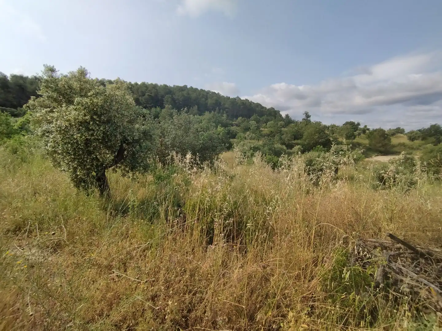 Casa o xalet en venda en Cervià de Les Garrigues amb Traster