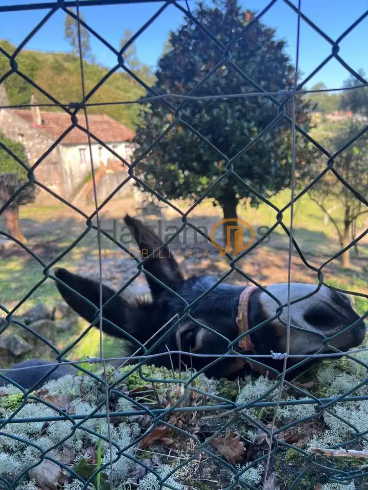 Jardí de Finca rústica en venda en Pontevedra Capital  amb Jardí privat, Terrassa i Traster
