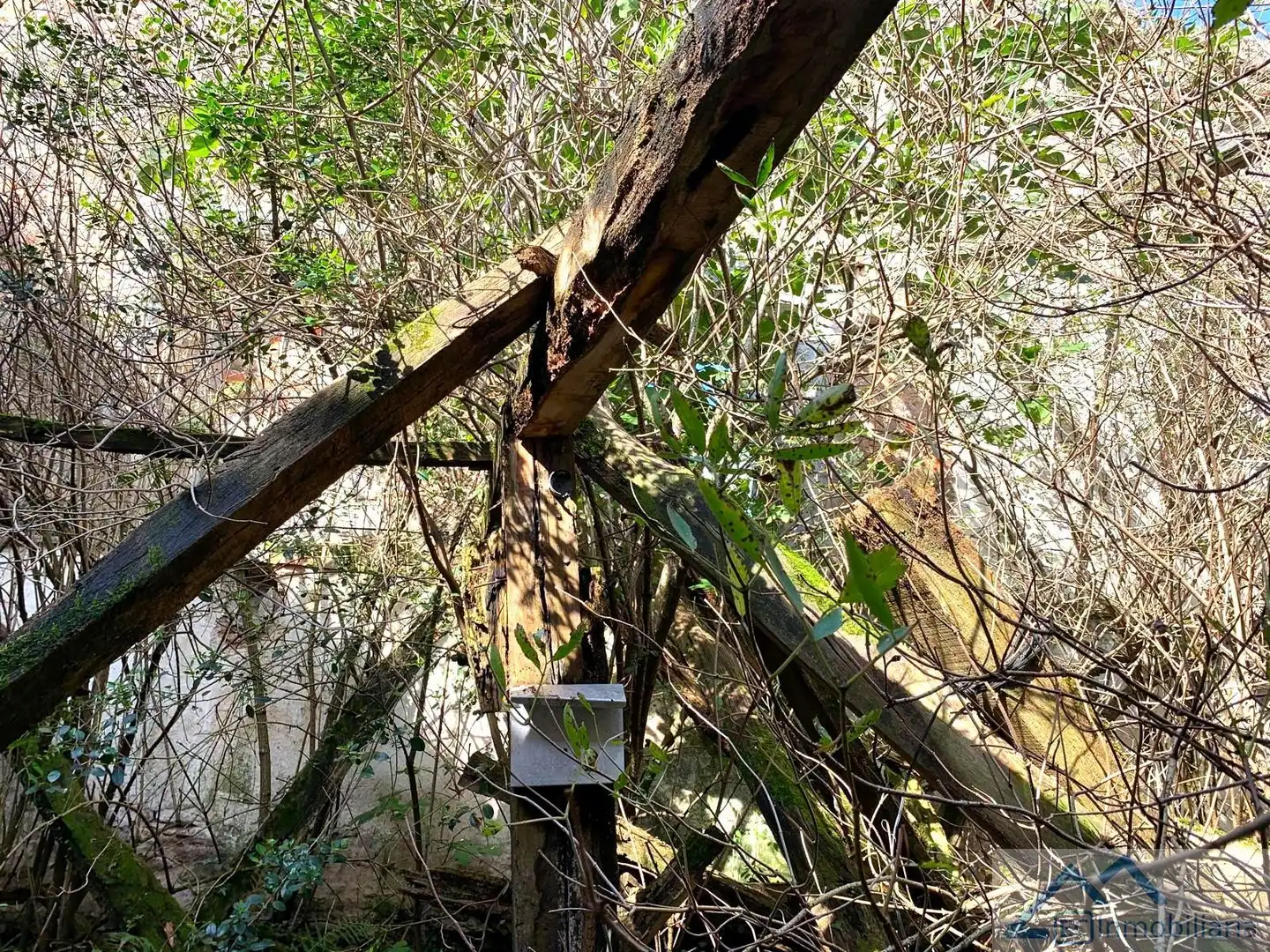 Casa en venta en Entrambasaguas, imagen 23