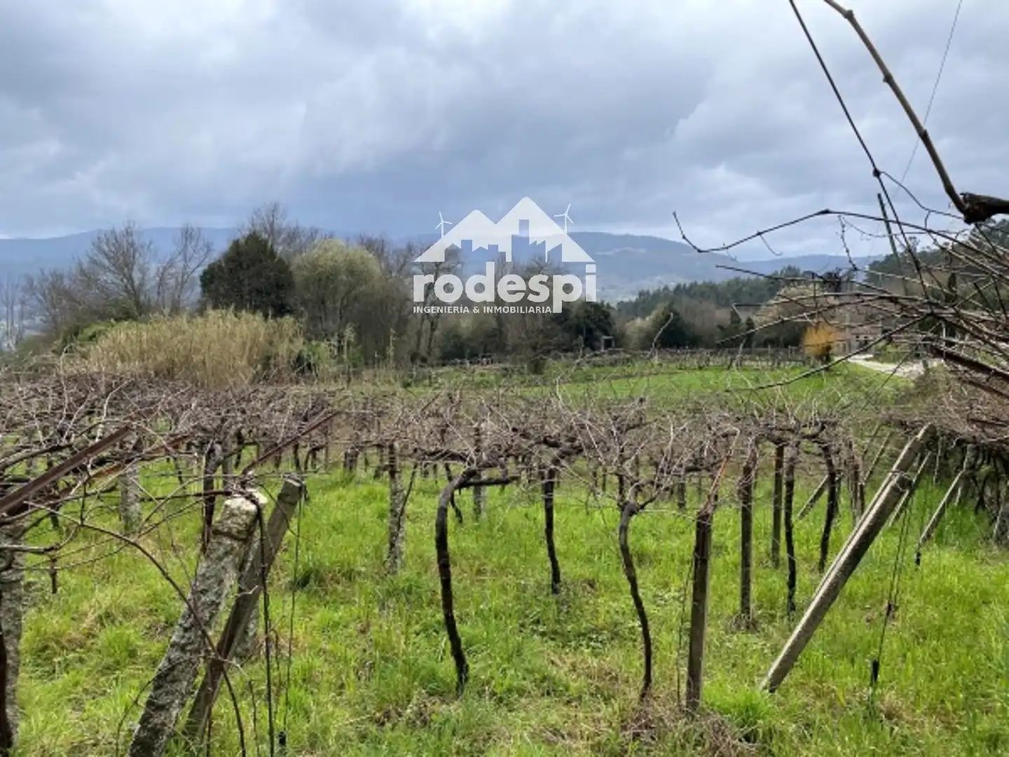 Terreny rústic en venda a A Cañiza, imagen 22