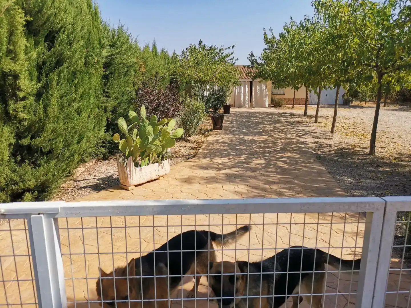 Jardí de Pis en venda en Hellín amb Piscina