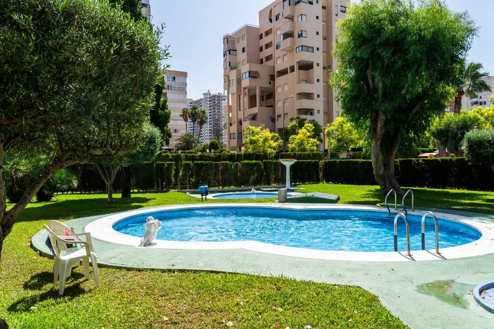 Pis amb piscina en venda a Playa de San Juan - El Cabo de las Huertas, imagen 9
