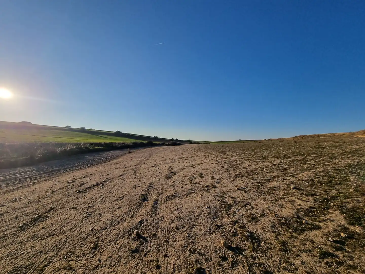 Rural land for sale in El Álamo, imagen 11