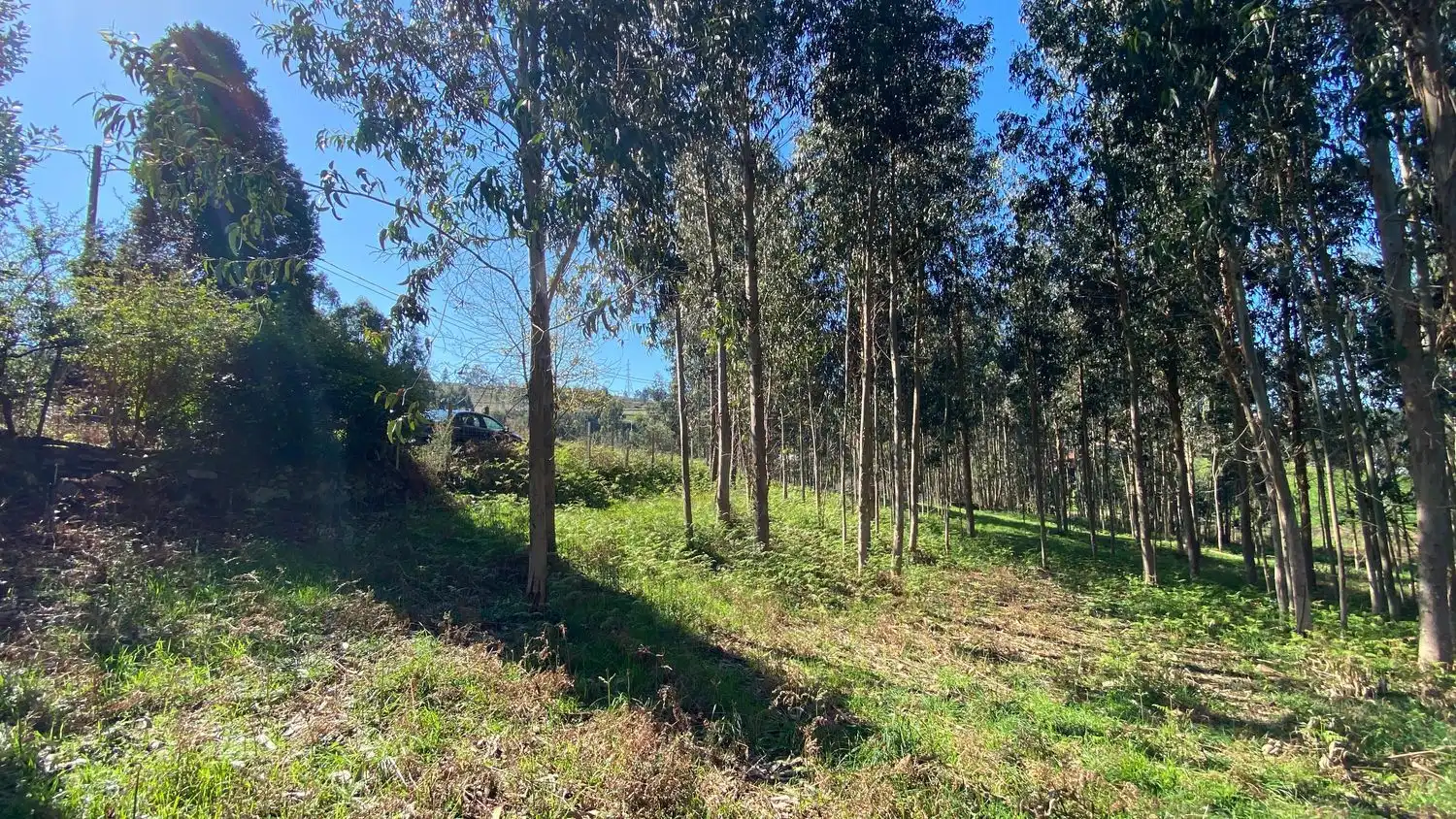 Terreni e lotti in vendita a Rúa Camiño dos Muiños 18, imagen 15