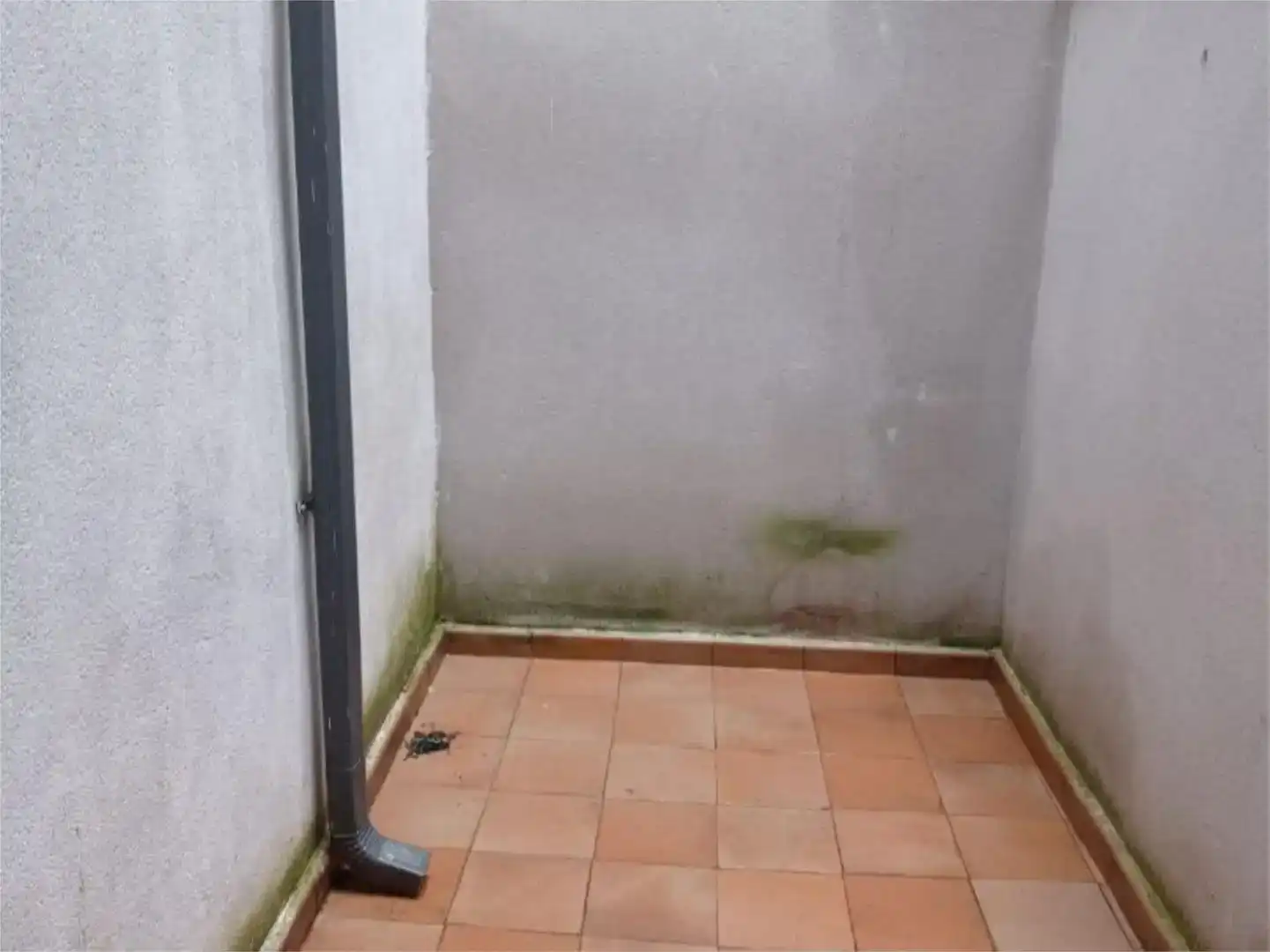 Terraza de Piso en venta en El Casar