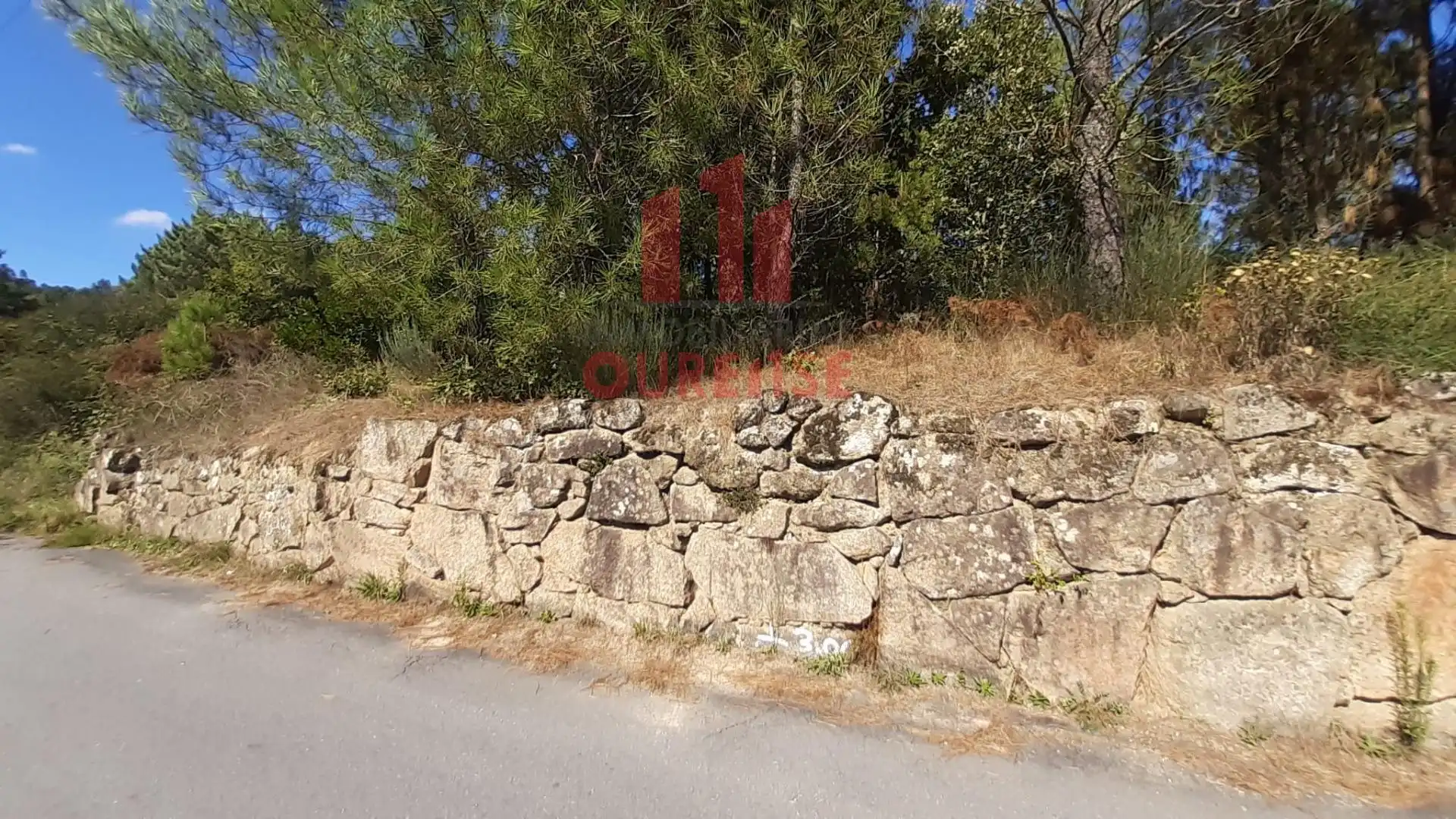 Terreni e lotti in vendita a Toén