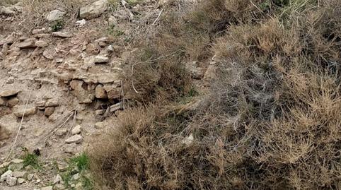 Foto 2 de Casa adosada en venda a Els Omells de na Gaia, Lleida
