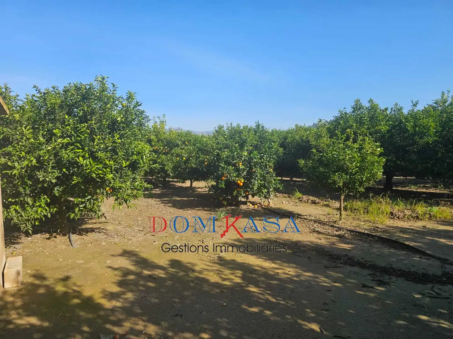 Rural land for sale in Bítem, imagen 5