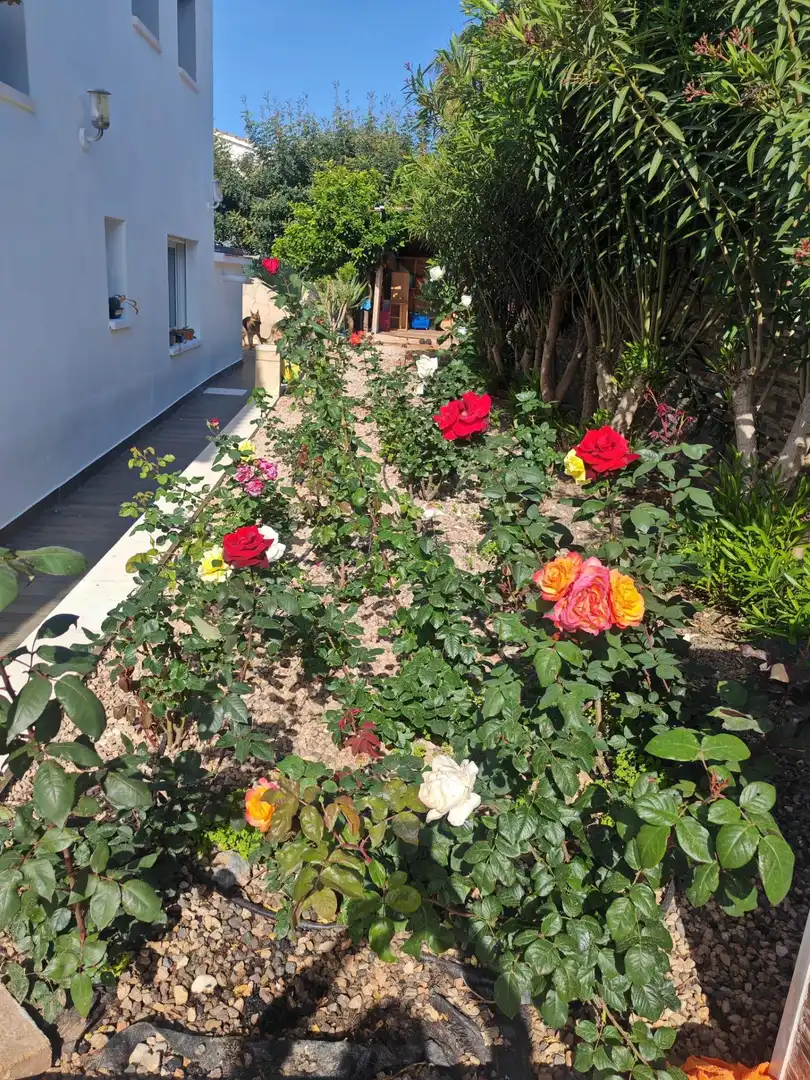 Jardí de Casa o xalet en venda en Calpe / Calp amb Aire condicionat, Calefacció i Jardí privat