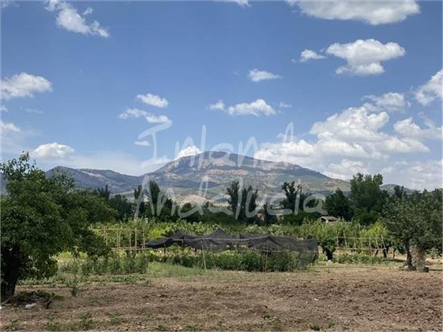 Terreno residencial en Venta en Alcaudete
