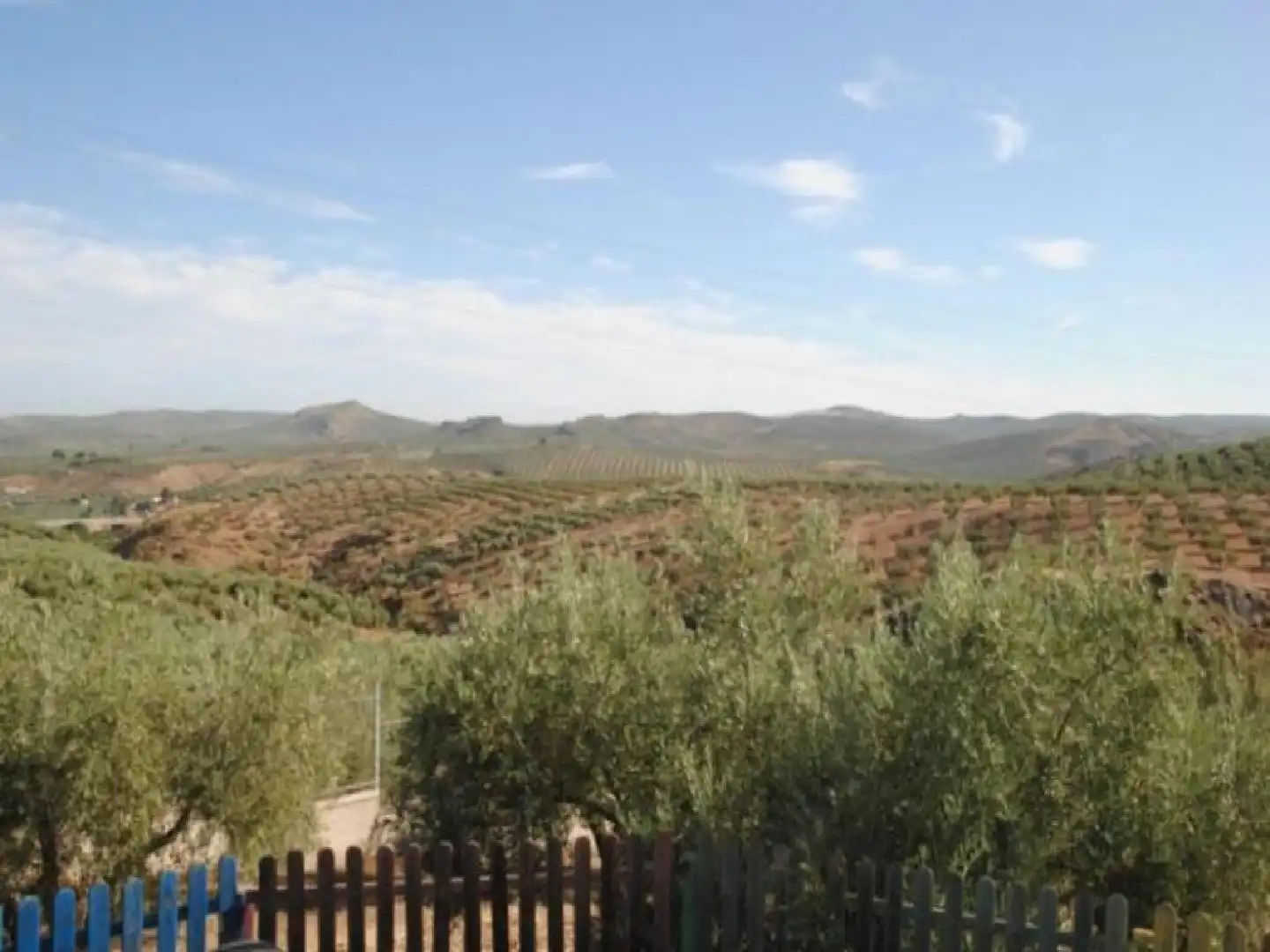 Jardí de Oficina en venda en Alcaudete
