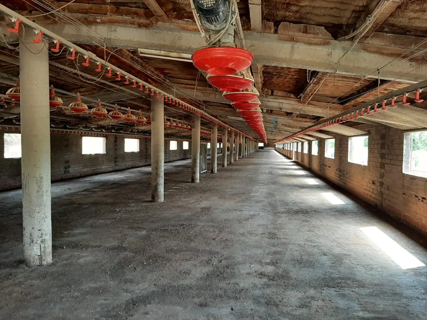 Casa rústica en venda a Brunyola i Sant Martí Sapresa, imagen 10