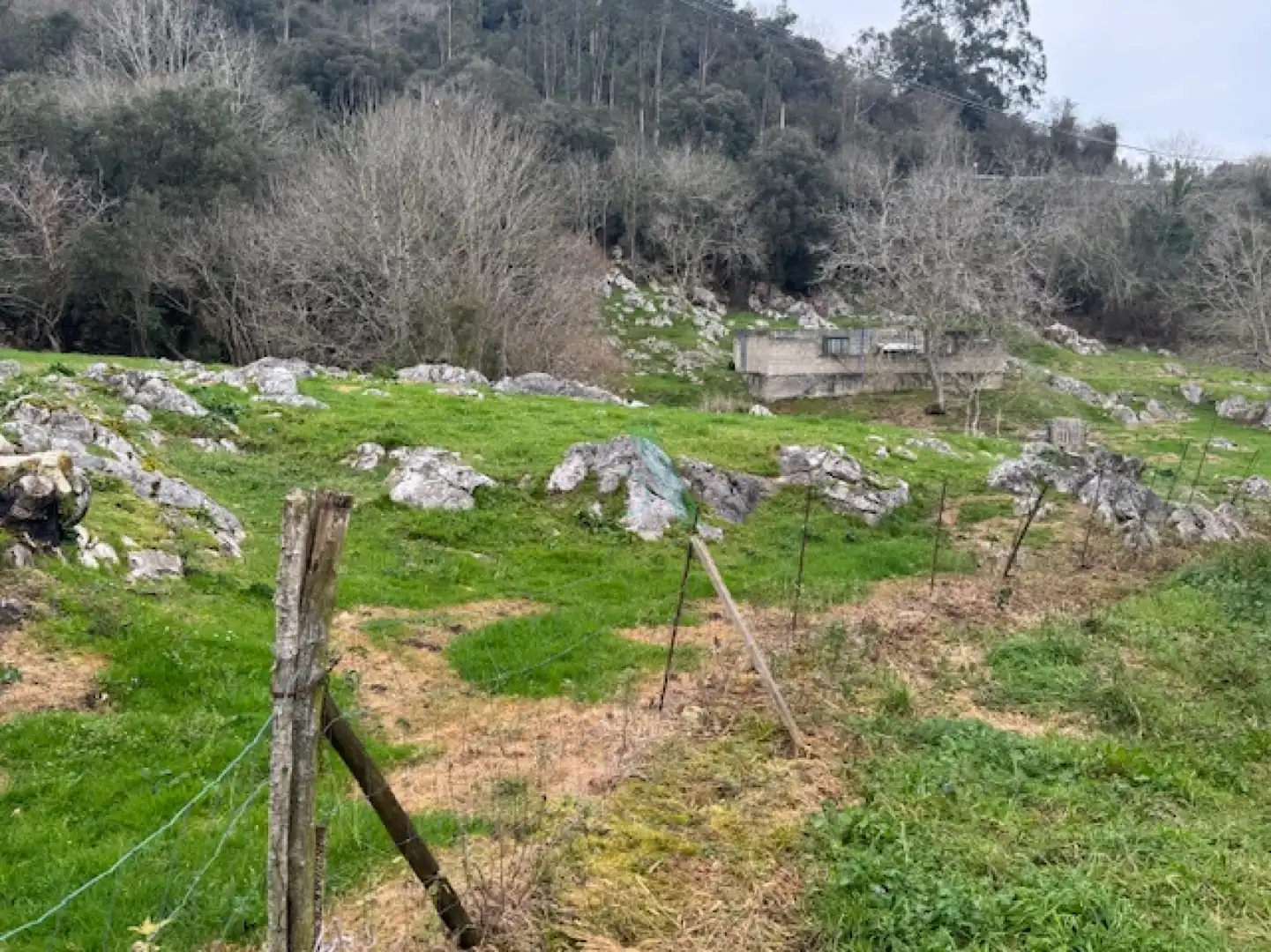 Terreno residencial en venta en ANDINAS, imagen 13
