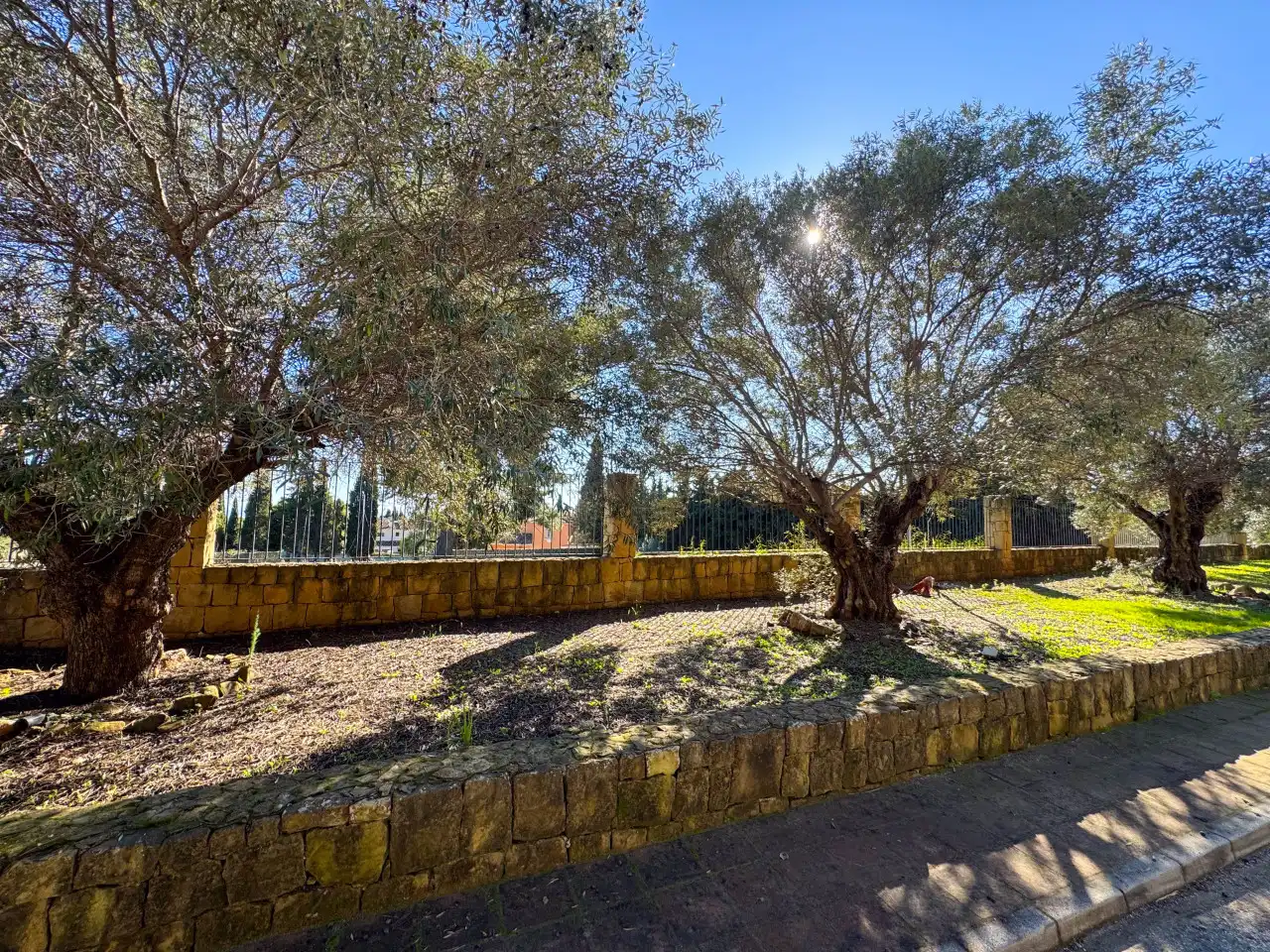 Terrenos y solares en venta en Milla de Oro, imagen 8