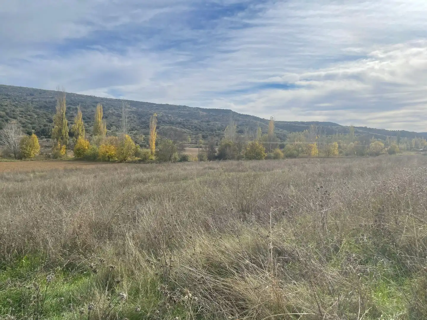 Rural land for sale in Orusco de Tajuña, imagen 4