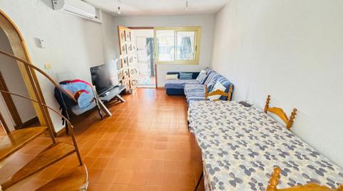 Foto 2 de Planta baixa de lloguer a Copenhague, Nueva Torrevieja, Alicante