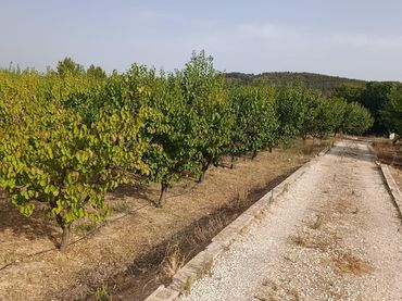 Country house for sale in Cehegín