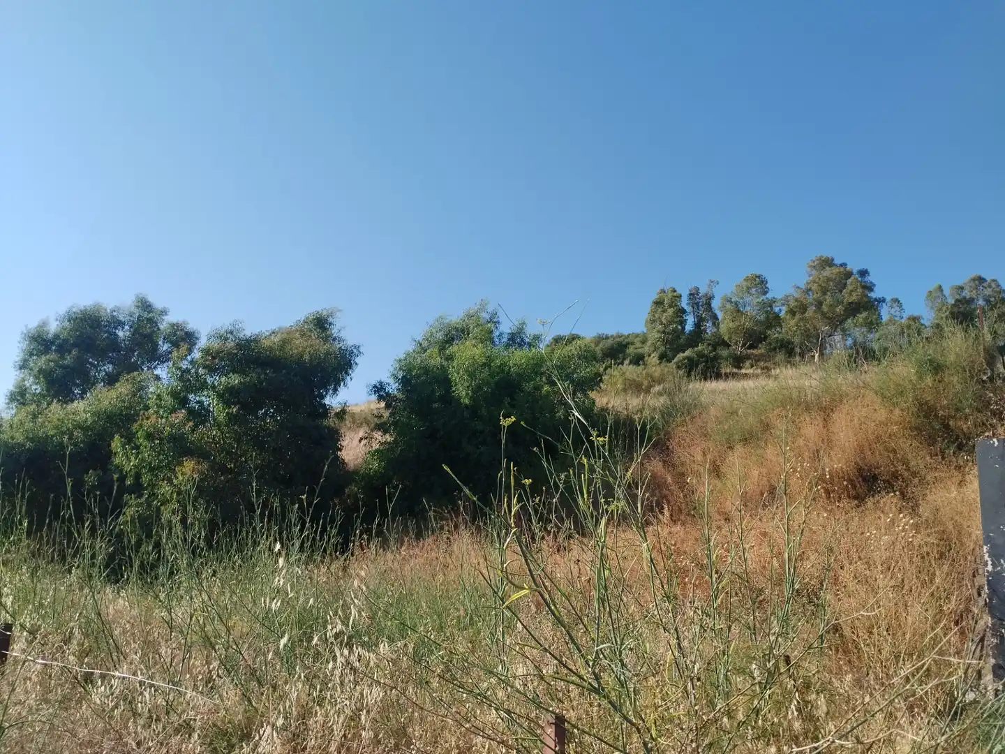 Terreni e lotti in vendita a Jerez de los Caballeros, imagen 7