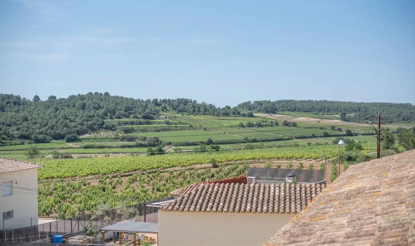 Jardín de Casa o chalet en venta en Vilobí del Penedès con Aire acondicionado, Calefacción y Terraza