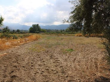Terreno rustico in vendita a Villa de Otura