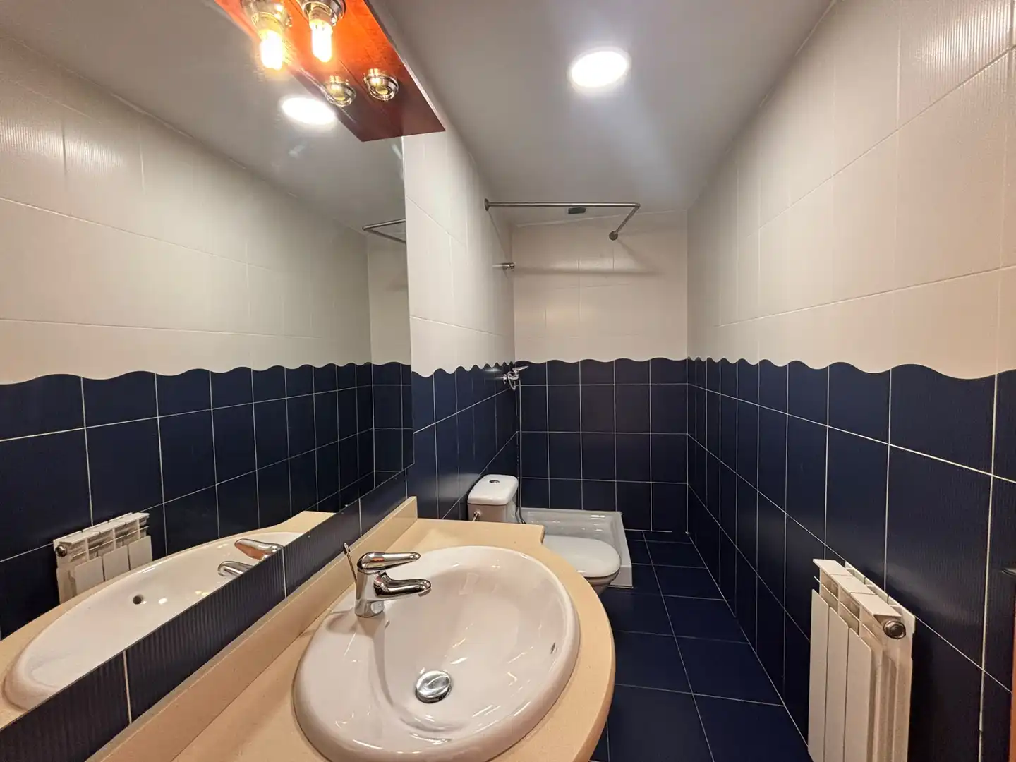 Bathroom of Flat for sale in Vila-seca Poble