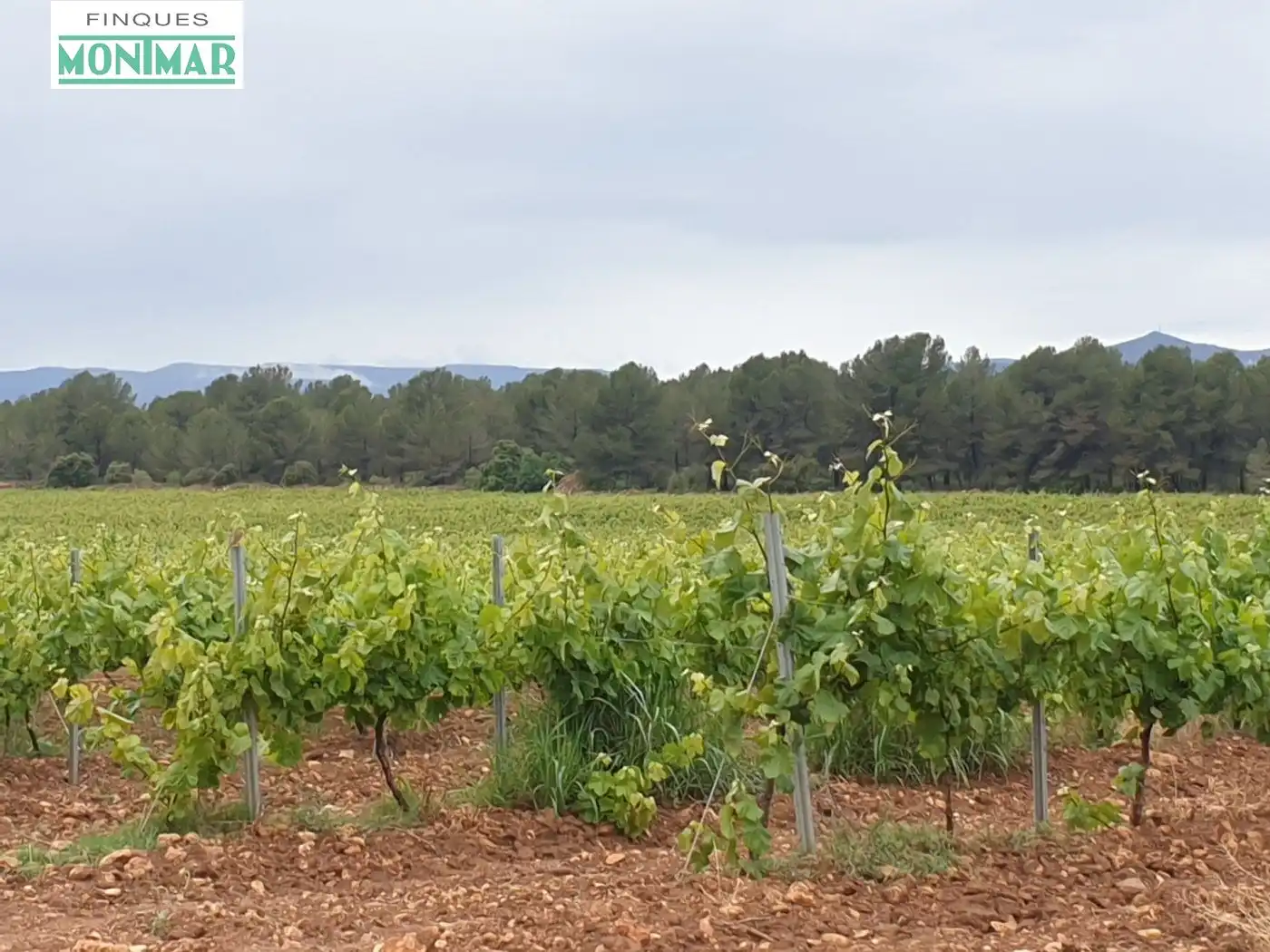 Finca rústica en venda en El Pla de Santa Maria