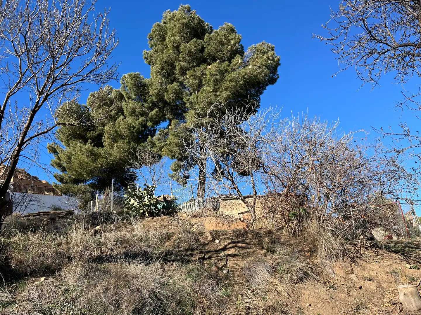 Finca rústica en venda en Fiñana amb Aire condicionat, Jardí privat i Terrassa