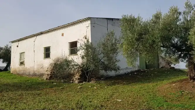 Terreno rústico en venta en Travesía Carretera de Martos 7, imagen 4