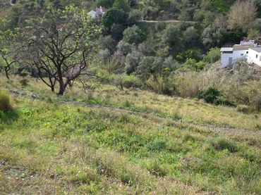 Terreny rústic en venda a Cómpeta