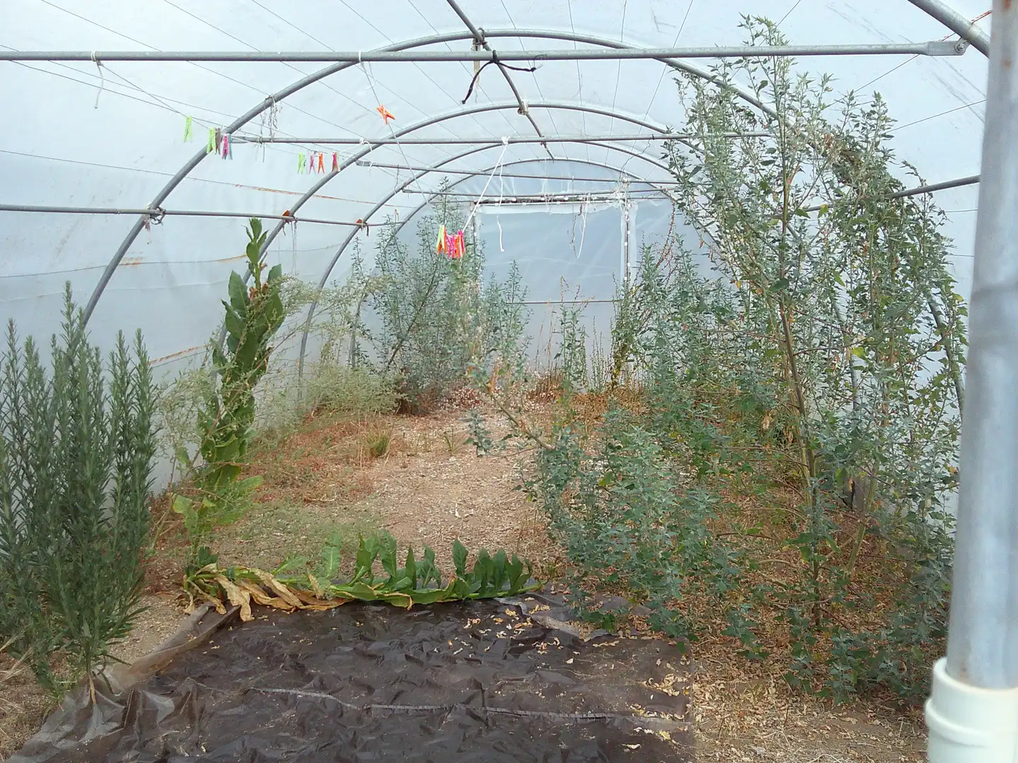 Jardí de Casa o xalet en venda en Ribadumia amb Terrassa, Moblat i Balcó