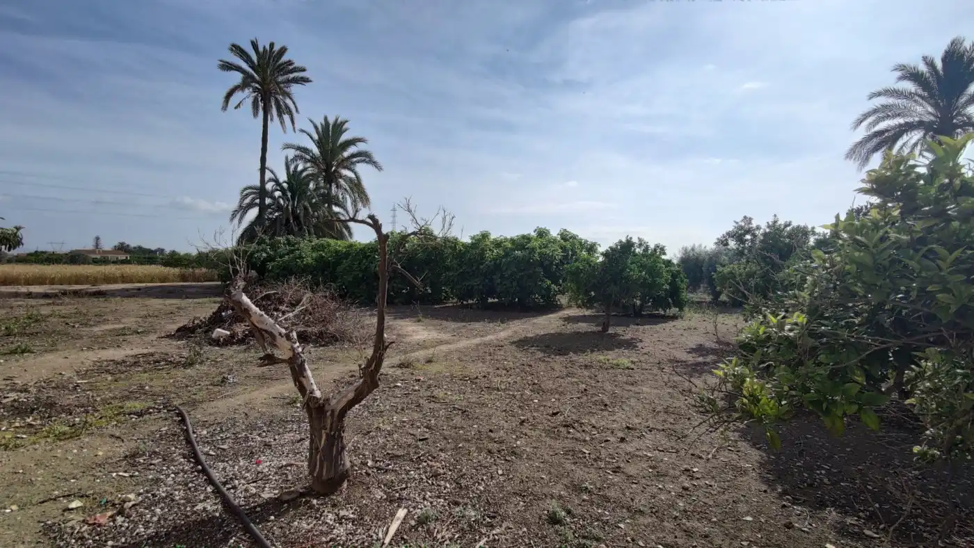 Villa con giardino in vendita a La Foia - Daimés - Asprella, imagen 5