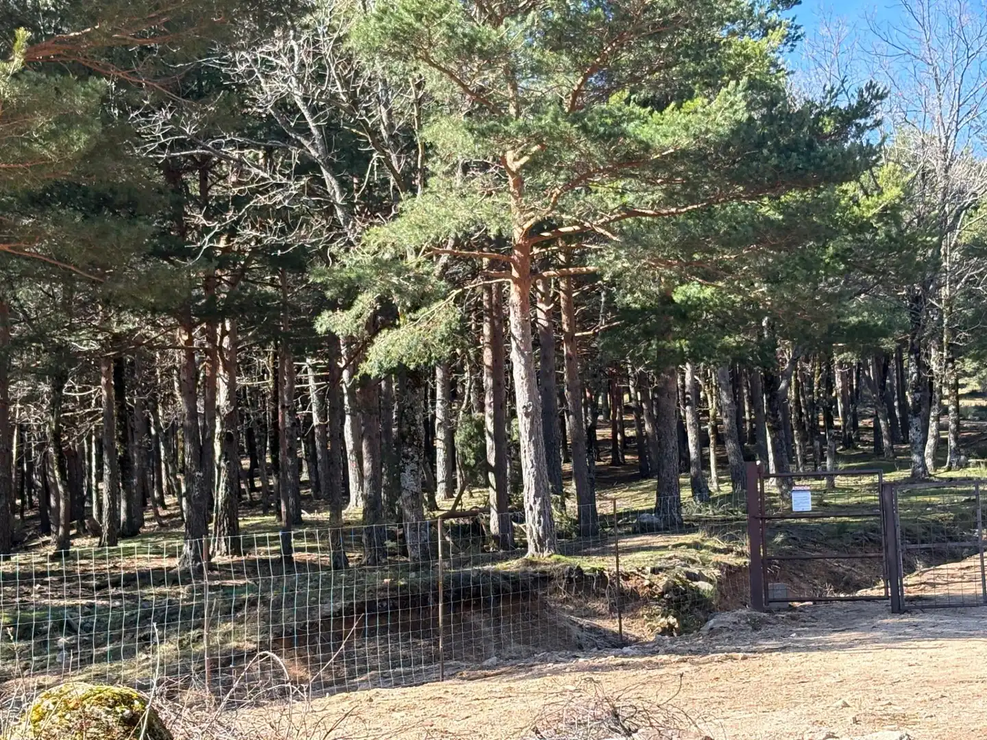 Casa o chalet en venta en Cercedilla con Jardín privado, Terraza y Trastero