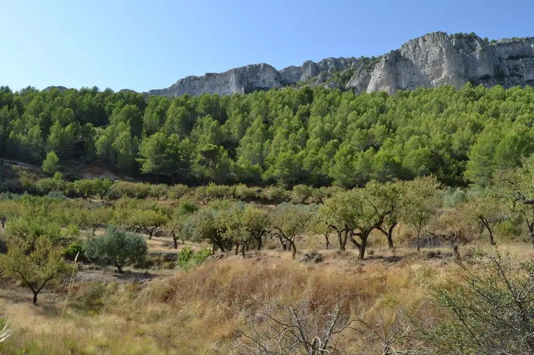 Grundstücke und Bauplätze zum Verkauf in El Castell de Guadalest, imagen 3