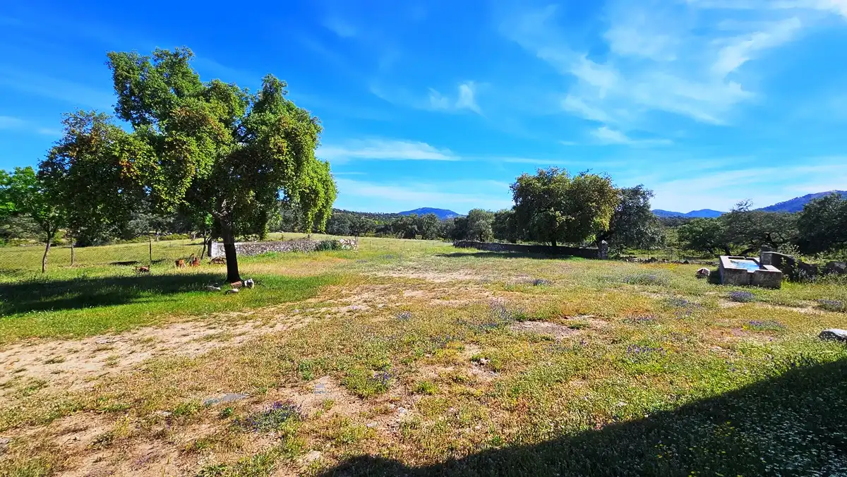 Country homes for sale in Zufre  with Private garden