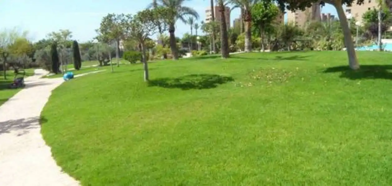 Ático con piscina en venta en Playa de Poniente, imagen 22