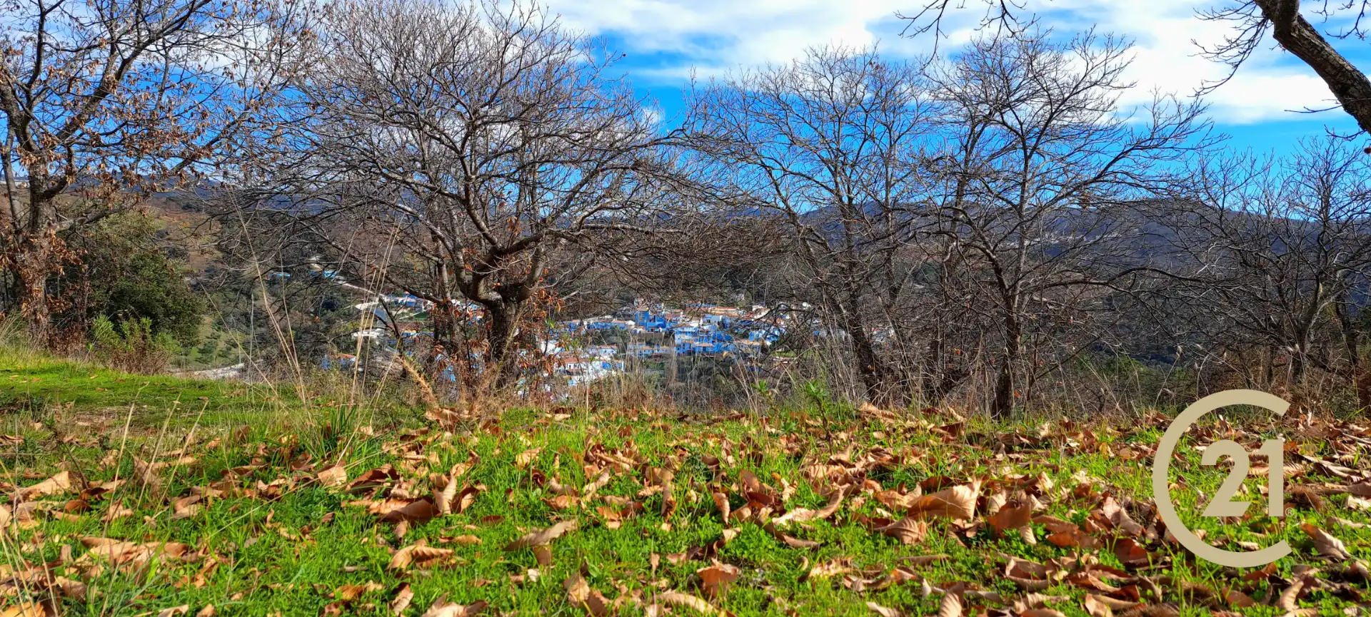 Vista exterior de Terreno en venta en Júzcar