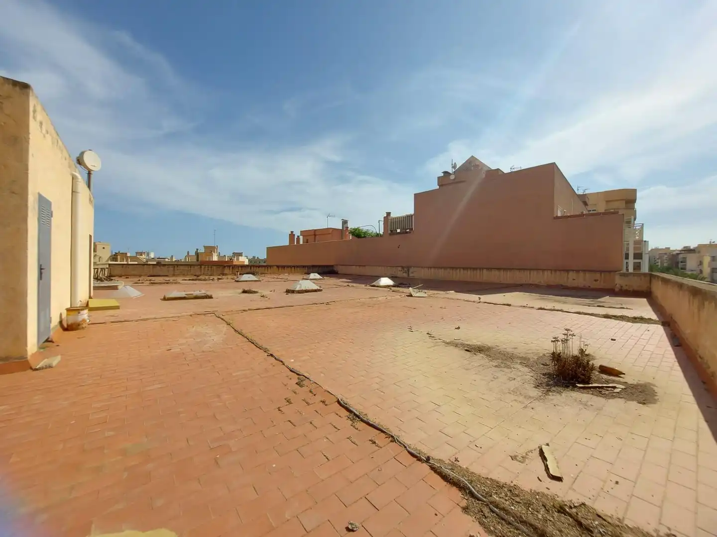 Gewerbefläche zur Miete in El Ejido Ciudad, imagen 25