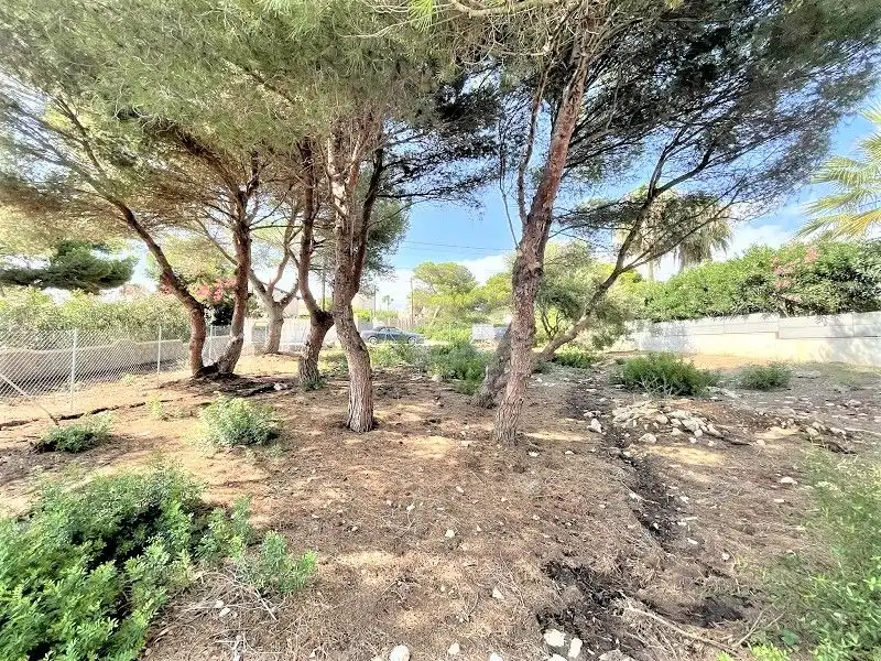 Terreny residencial en venda a Cala Pi - Vallgornera, imagen 5