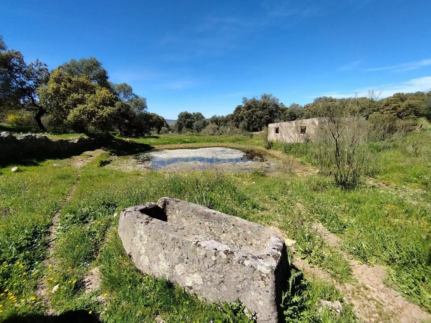 Terreni e lotti in vendita a 06430 Zalamea de la Serena, Spain, imagen 15