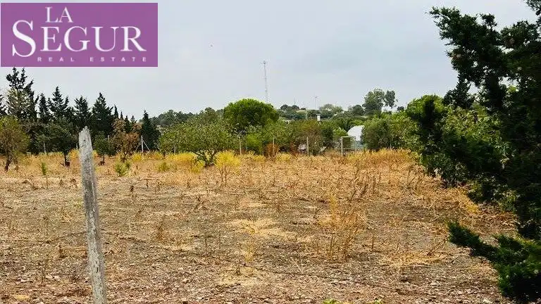 Finca rústica en venda en Medina Sidonia