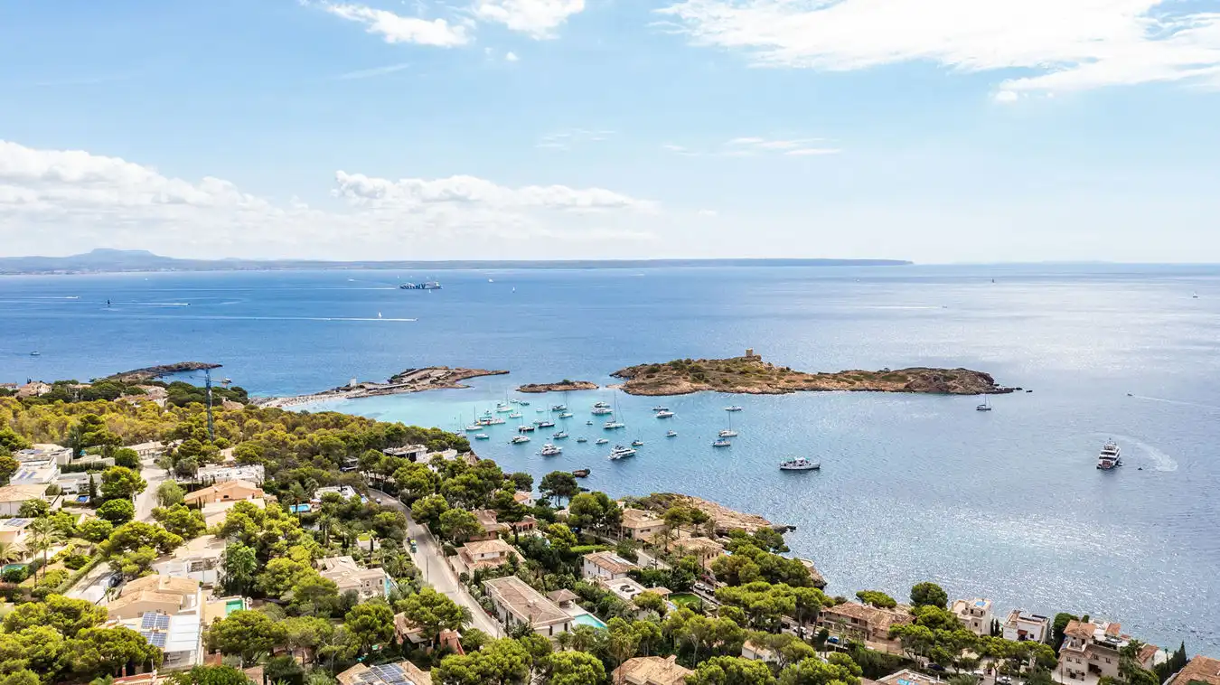 Lands and plots for sale in Portals Nous, imagen 4