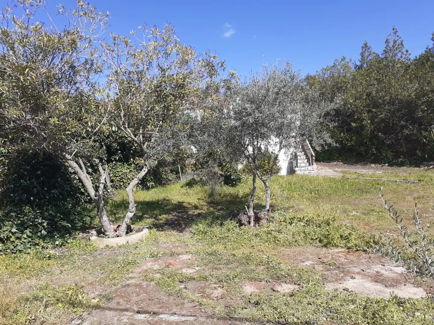 Terreno rústico en venta en CR-721 153, imagen 7