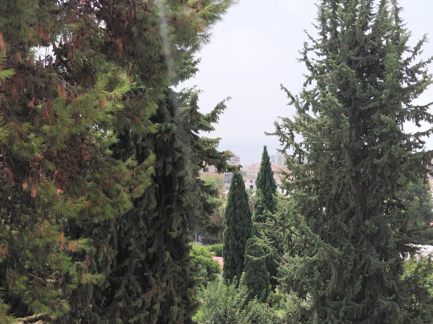 Appartement avec piscine à vendre à Calle Obispo Herrera Oria 10, imagen 16